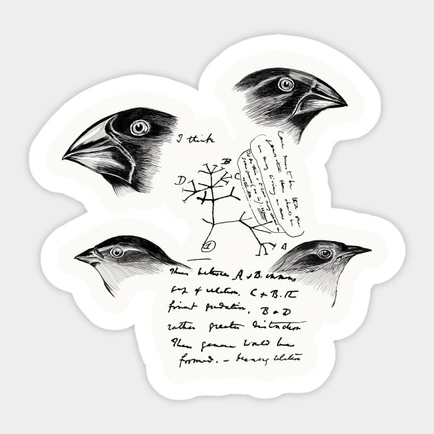 Darwin’s Finches Sticker by hereticwear